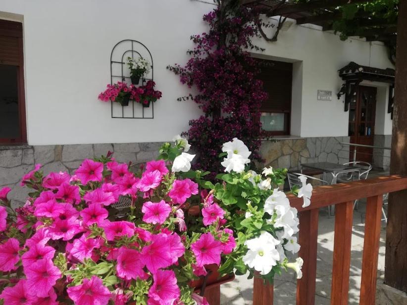 Atxispe Etxea Casa Rural Laukiz Экстерьер фото